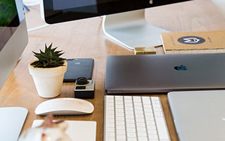 狗狗发情 辟谣！狗狗也会来例假？一年两次发情期，特殊时期需要细心护理